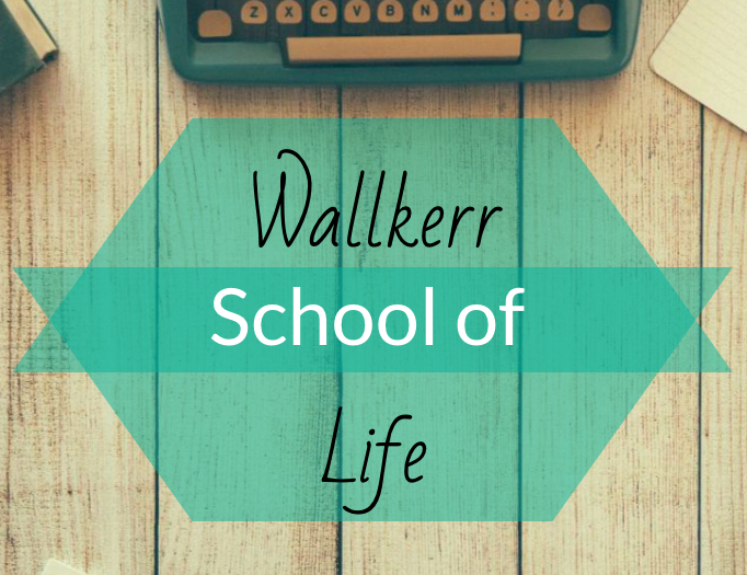 Everyone Needs a School of Life!